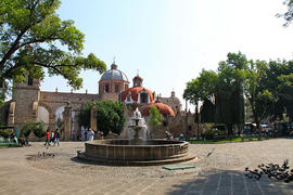 El alacrán (tumbando caña)