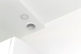 Extractor cacareando